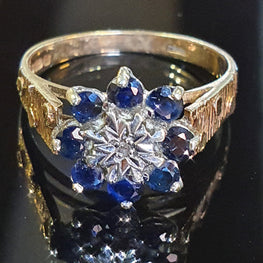 Sapphire and Diamond Ring set on 9ct Yellow Gold